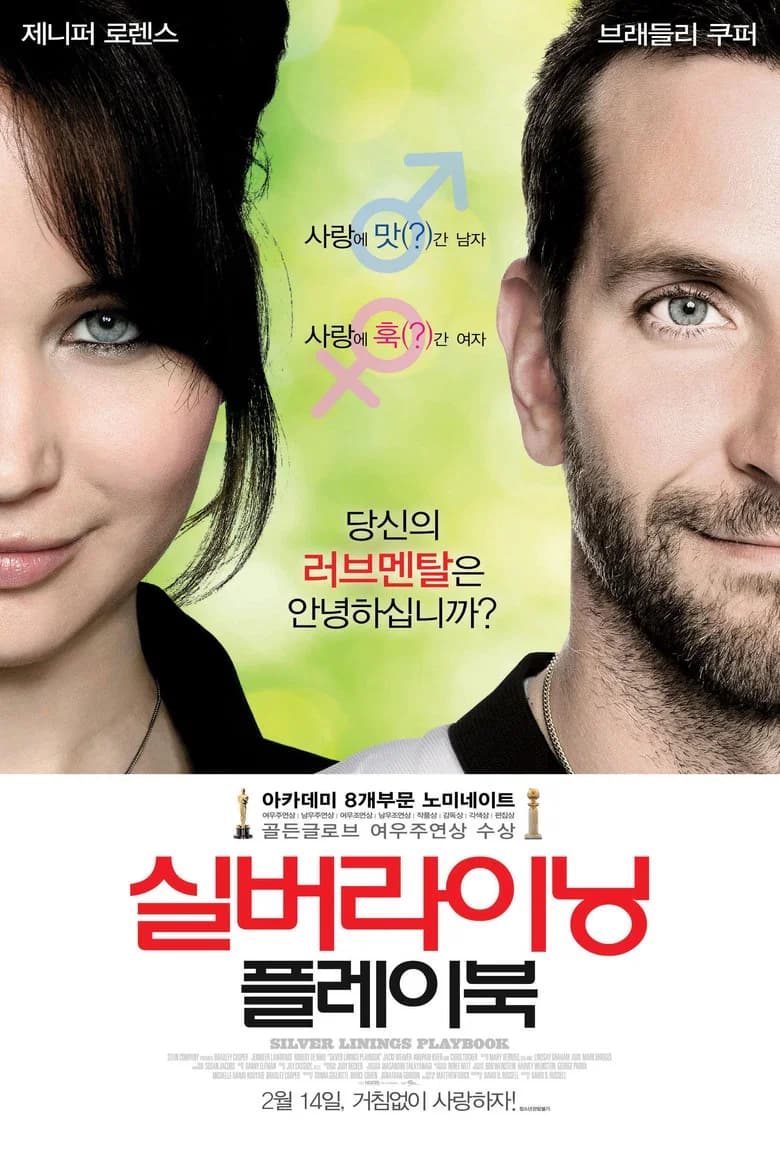 실버라이닝 플레이북 포스터