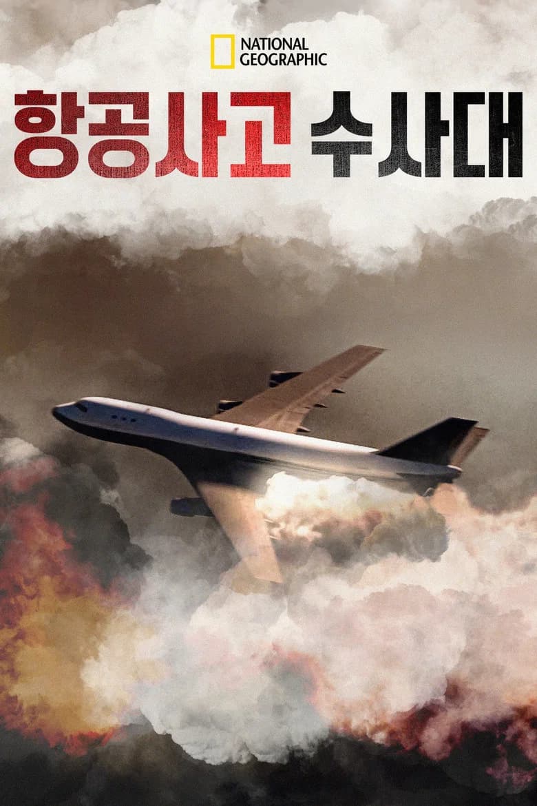 항공사고 수사대 포스터